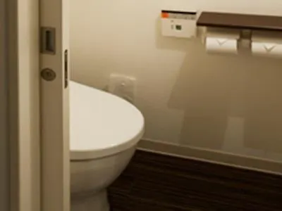 Hotel Vista Sapporo Odori 3*,
